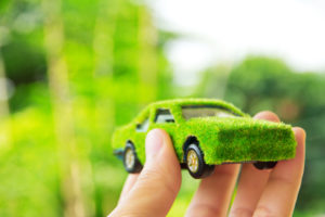 Grassy car in hand